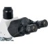 Микроскоп цифровой Levenhuk D900T, 5,1 Мпикс, тринокулярный Микроскоп цифровой Levenhuk D900T, 5,1 Мпикс, тринокулярный