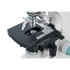 Микроскоп цифровой Levenhuk D900T, 5,1 Мпикс, тринокулярный Микроскоп цифровой Levenhuk D900T, 5,1 Мпикс, тринокулярный