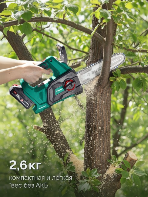 Пила цепная аккумуляторная ПЦБ-2025-21 ЗУБР 20 В, 250 мм шина, 1 АКБ LMS (2 Ач) Пила цепная аккумуляторная ПЦБ-2025-21 ЗУБР 20 В, 250 мм шина, 1 АКБ LMS (2 Ач)